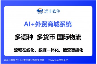 多语言外贸商城找谁制作？远丰软件，20年深耕，为全球生意筑牢数字化底座