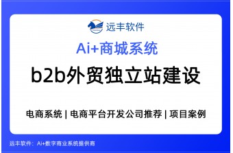 B2B外贸独立站建设方案，b2b多语言商城系统 -远丰软件