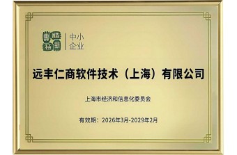 深耕电商软件二十载，创新赋能产业数字化｜远丰软件荣获上海市“专精特新”企业认证