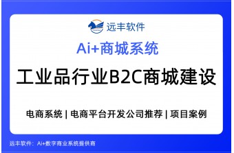 工业品行业B2C商城建设方案，B2C电商购物系统开发商 -远丰软件