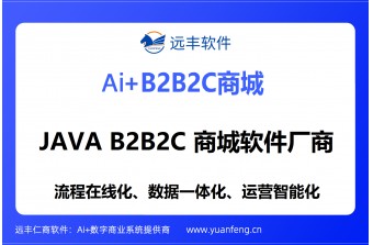 JAVA B2B2C 商城软件厂商推荐：远丰软件——二十年技术沉淀，赋能企业数字化运营