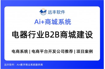 电器行业B2B商城建设方案，B2B电商平台开发商 -远丰软件