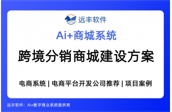 外贸出口跨境分销商城建设方案，外贸商城开发软件公司 -远丰软件
