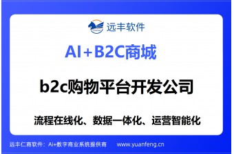 b2c购物平台开发公司实力测评：b2c购物平台系统选型指南