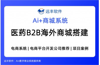 医药行业B2B海外商城建设方案，2026年电商平台开发公司推荐 -远丰软件