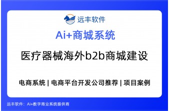 医疗器械海外b2b商城建设方案，电商平台软件提供商- 远丰软件