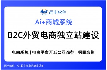 B2C外贸电商独立站建设方案，跨境电商软件提供商 -远丰软件