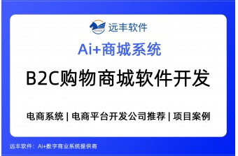 B2C购物商城软件开发服务商有哪些值得关注？