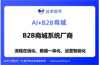 上海搭建B2B商城网站的软件公司，专业选型指南与靠谱厂商推荐