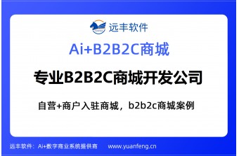 上海做B2B2C电商平台的软件公司，专业选型指南与靠谱厂商推荐