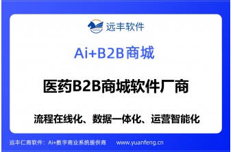 上海做B2B医药商城的软件公司，专业选型指南与靠谱厂商推荐