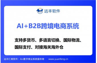 B2B海外电商平台开发公司推荐：远丰软件，以多语言、多货币、千客千价与AI技术赋能企业全球化