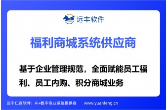 企业福利采购平台开发指南：远丰软件技术框架与落地实践