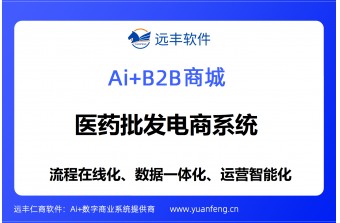 医药批发商城系统开发指南：远丰软件技术框架与落地实践