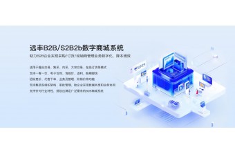 鞋服行业S2B2B平台开发指南：远丰软件技术框架与落地实践