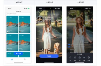 私域直播电商平台开发指南：远丰软件技术框架与落地实践