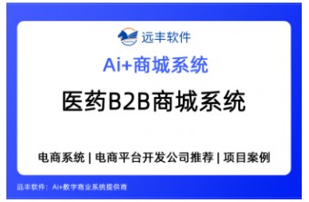 医药B2B商城系统，B2B医药电商数字化解决方案：AI重构医药流通生态 —远丰软件