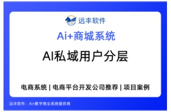 AI怎么帮你做私域用户分层，提升复购率？——远丰软件