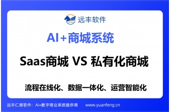 SaaS商城和私有化商城怎么选？从数据主权、定制空间到TCO的完整决策指南