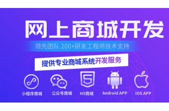 如何判断电商系统开发服务商是否有真实交付能力？
